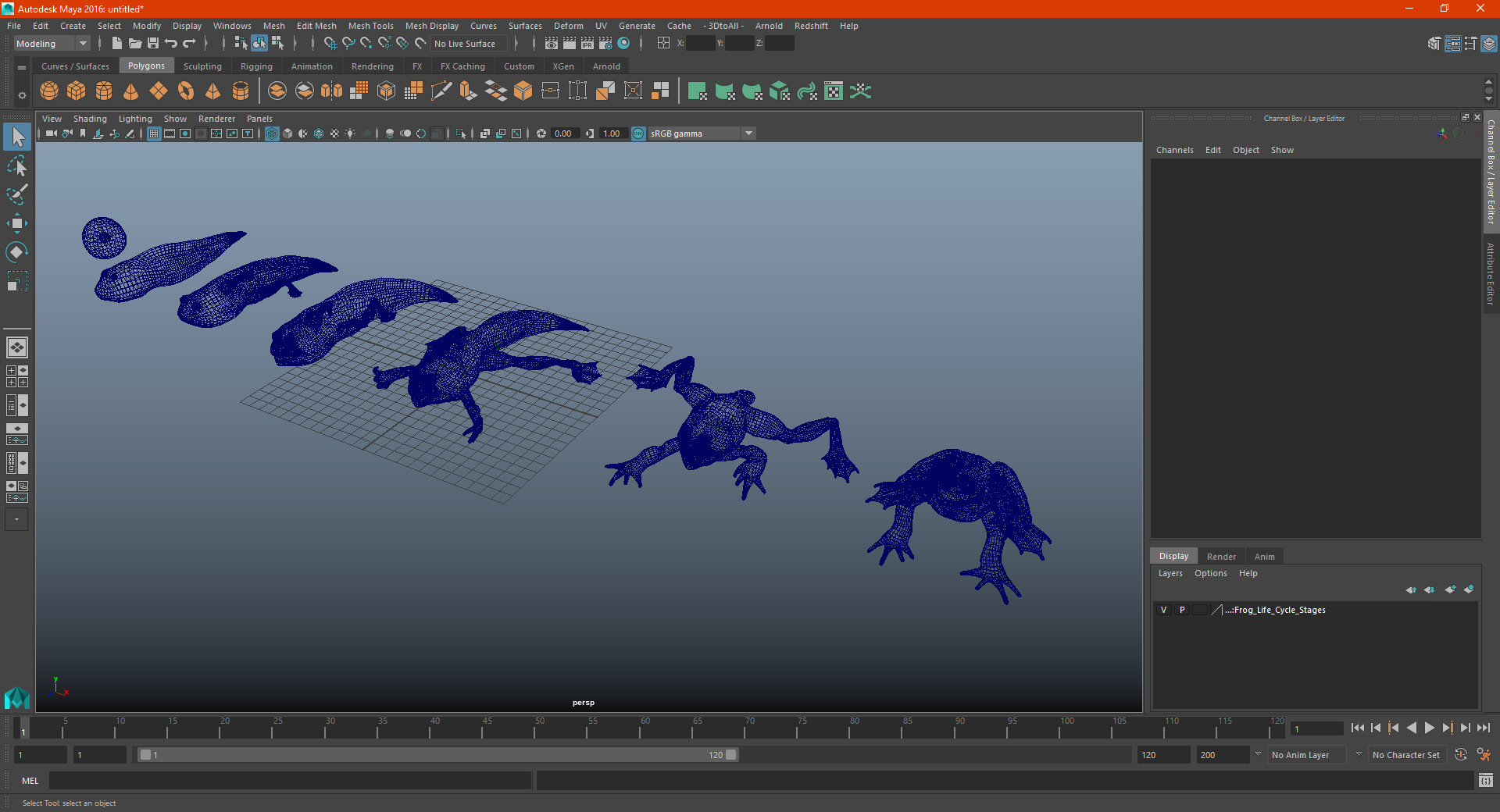 Frog Life Cycle Stages 3D