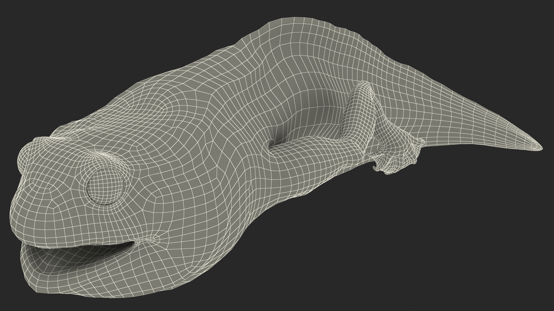 Frog Life Cycle Stages 3D