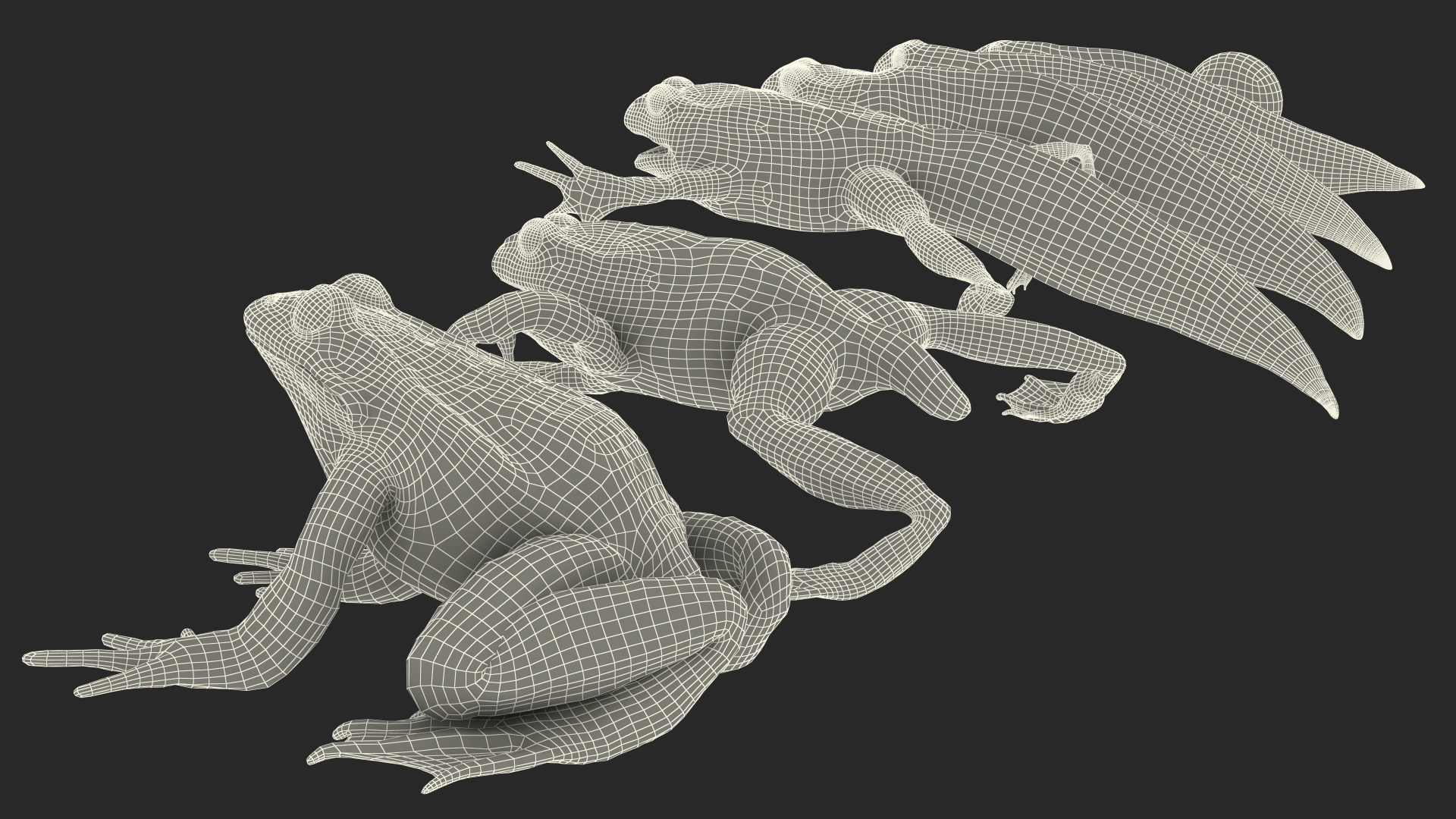 Frog Life Cycle Stages 3D