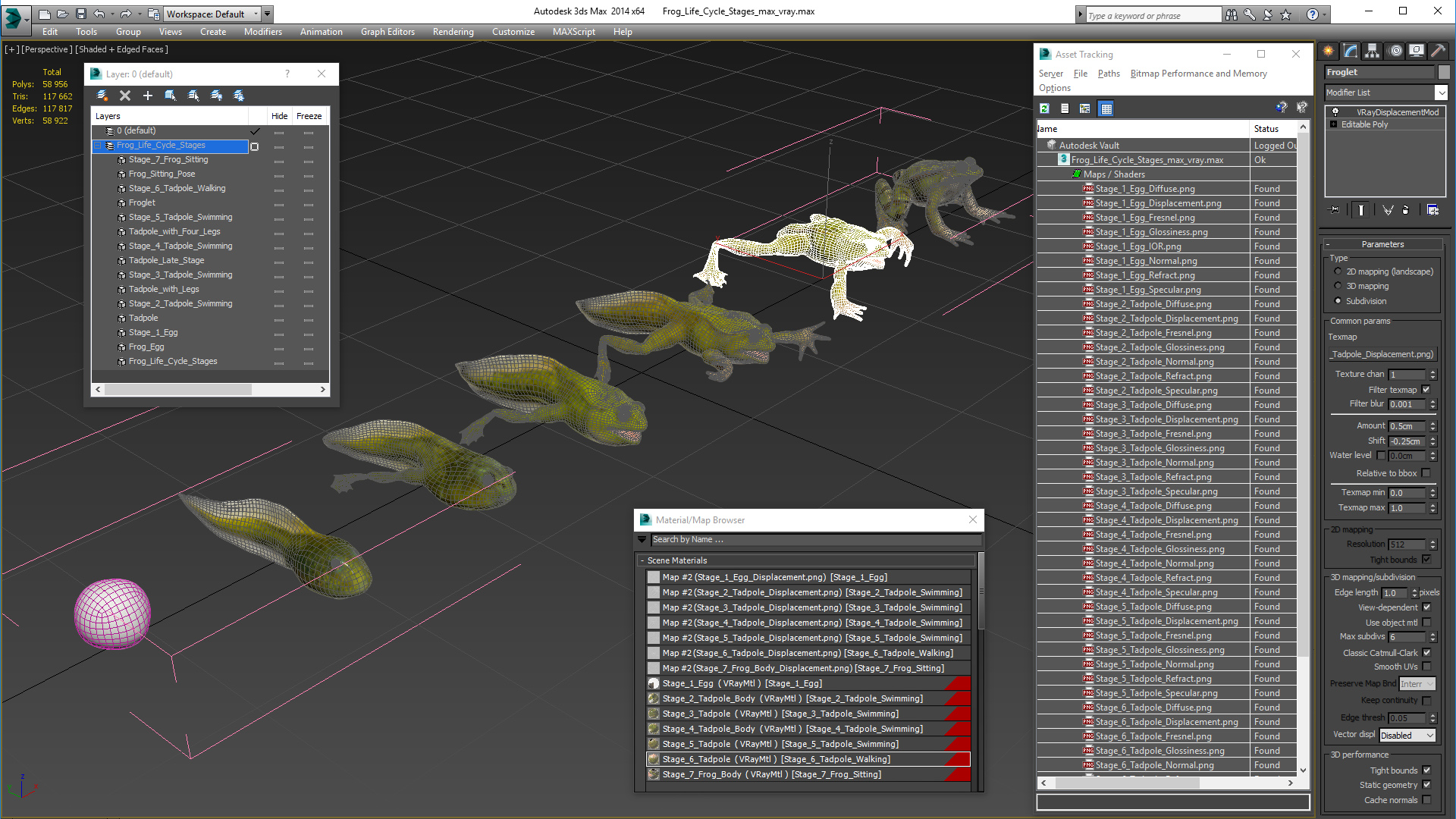 Frog Life Cycle Stages 3D