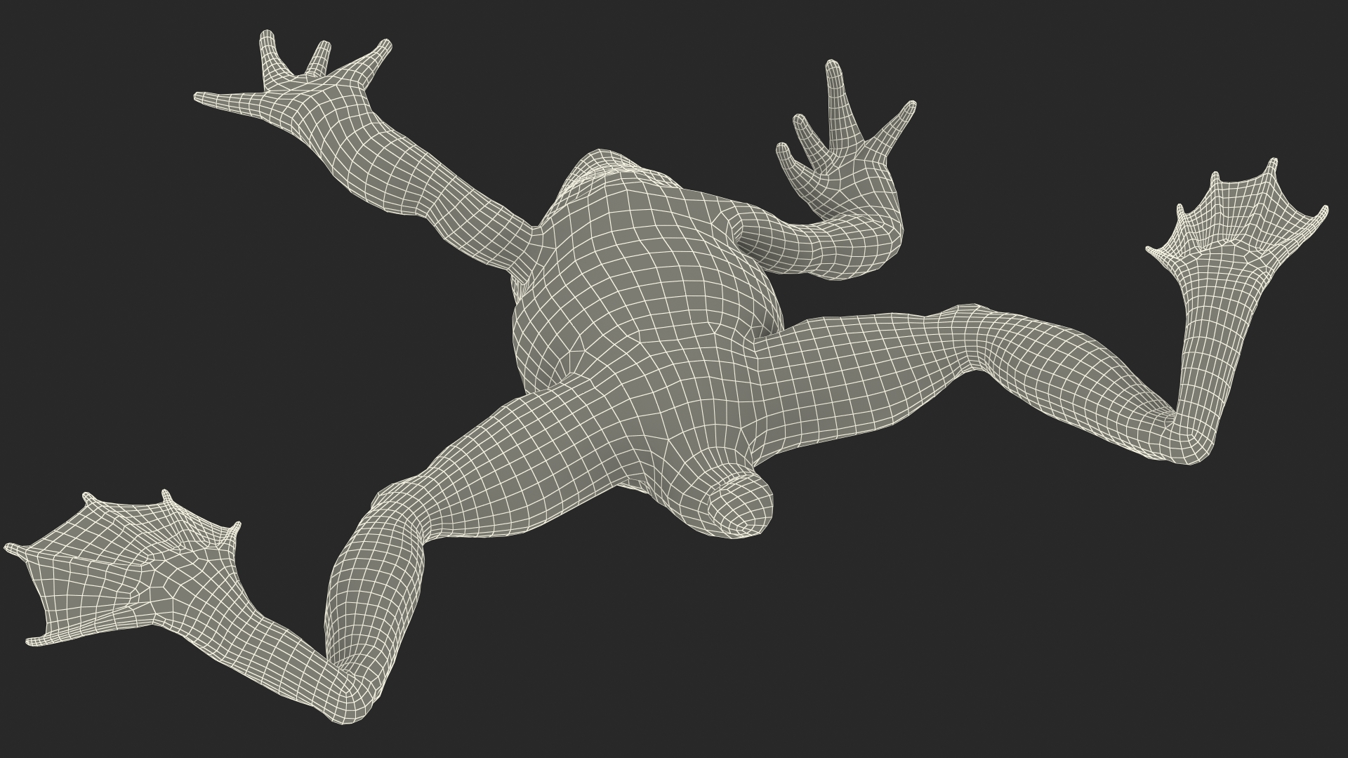 Frog Life Cycle Stages 3D