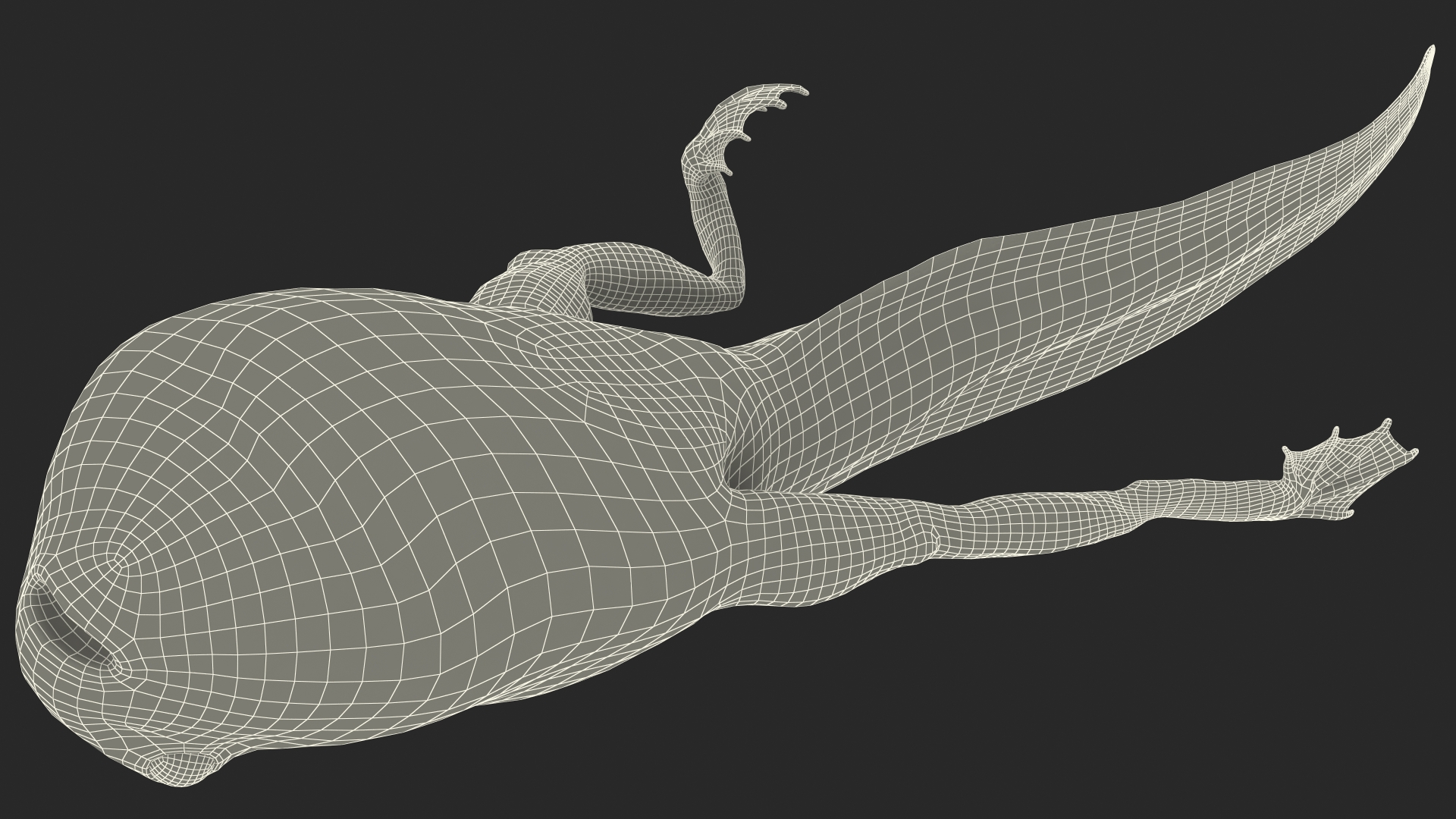 Frog Life Cycle Stages 3D