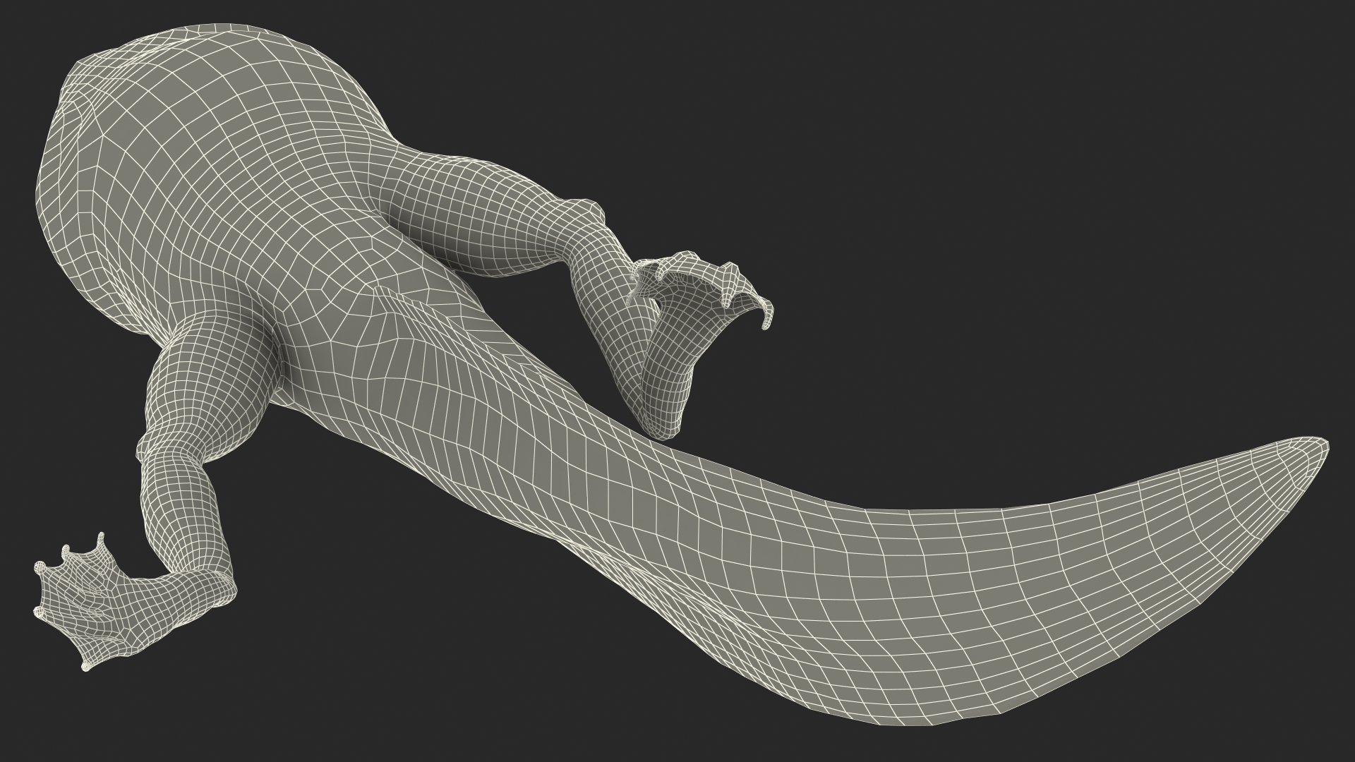 Frog Life Cycle Stages 3D