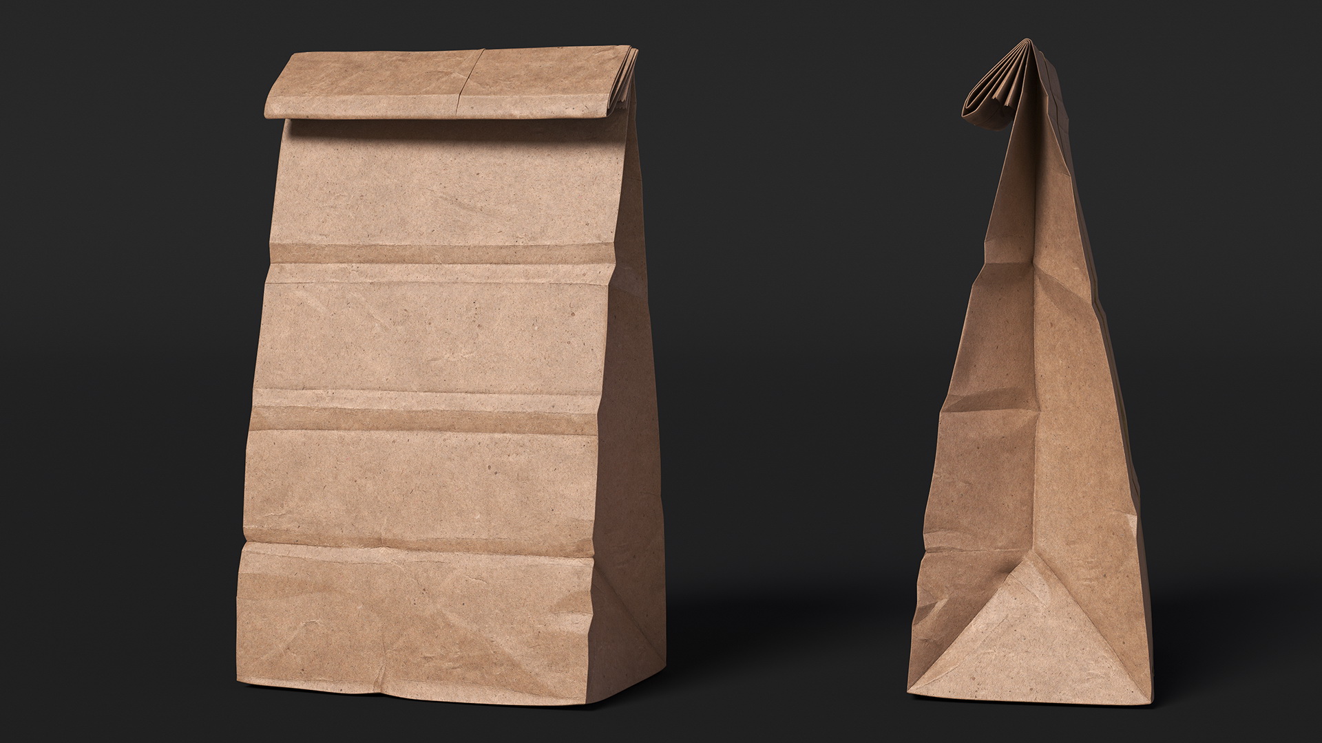 3D model Paper Lunch Bag
