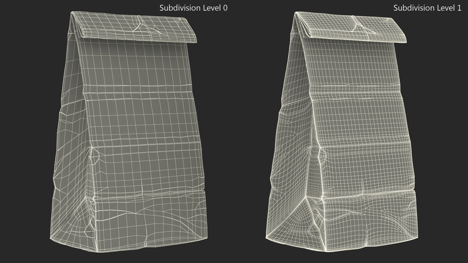 3D model Paper Lunch Bag