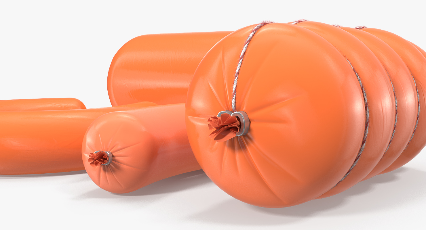 Different Types of Sausages 3D