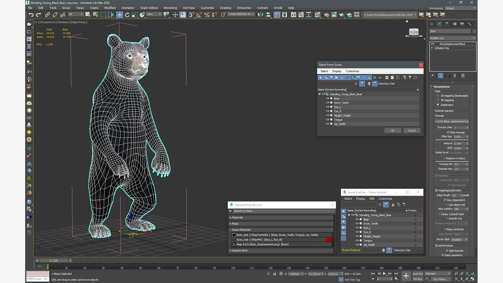 3D model Standing Young Black Bear