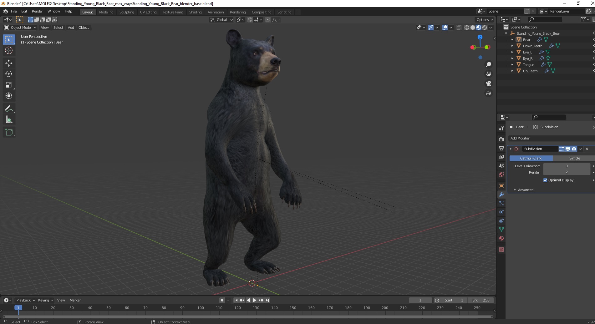 3D model Standing Young Black Bear