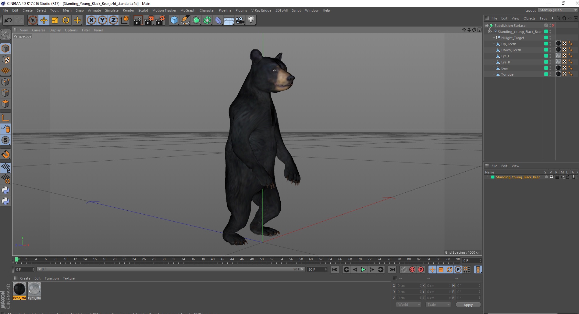 3D model Standing Young Black Bear