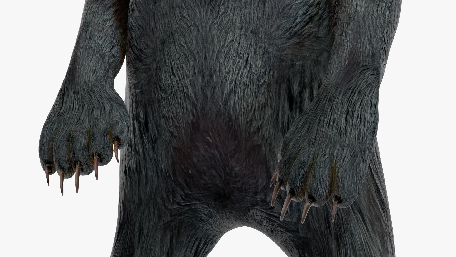 3D model Standing Young Black Bear