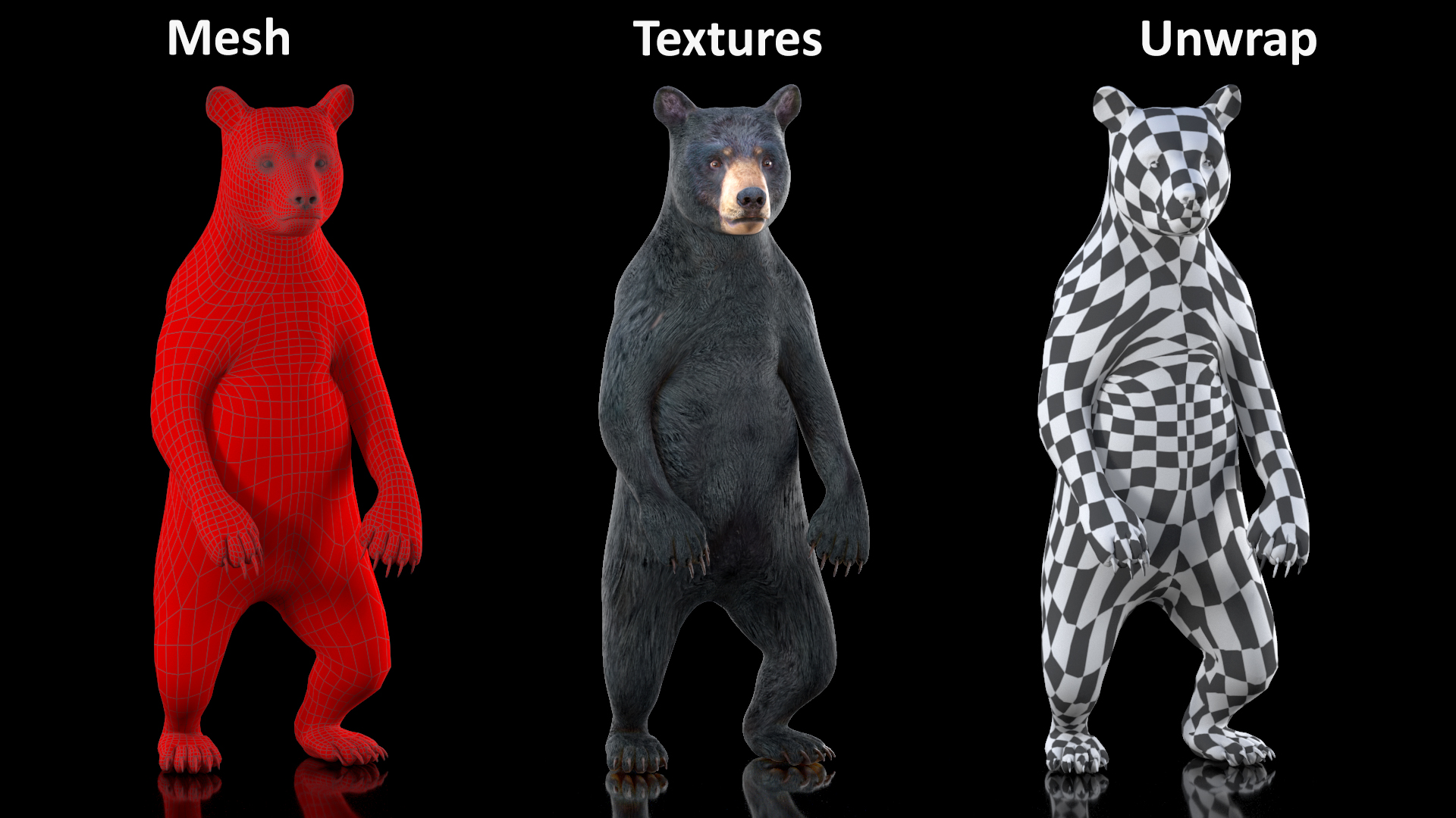 3D model Standing Young Black Bear