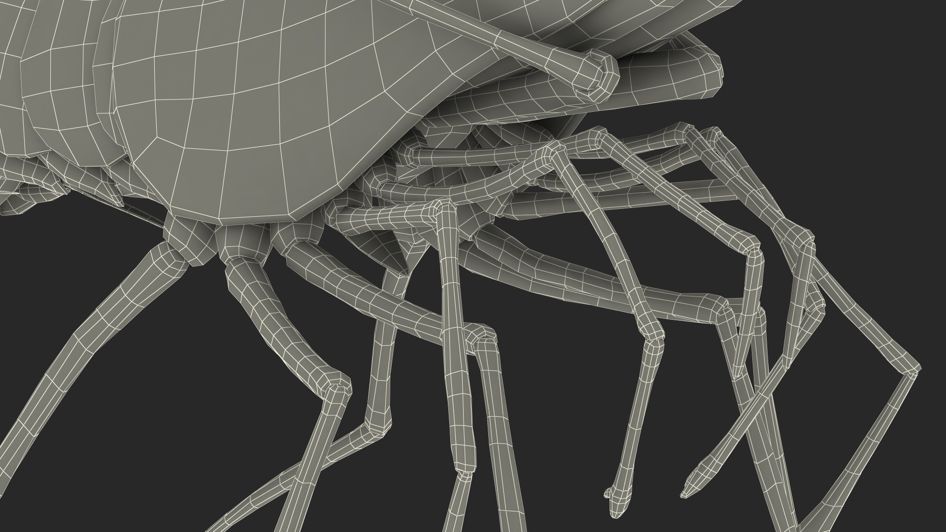 3D Fire Blood Shrimp Rigged Fur model