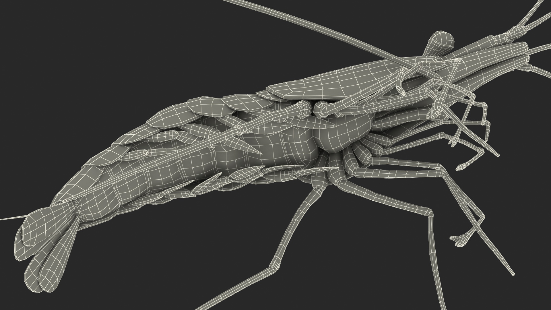 3D Fire Blood Shrimp Rigged Fur model