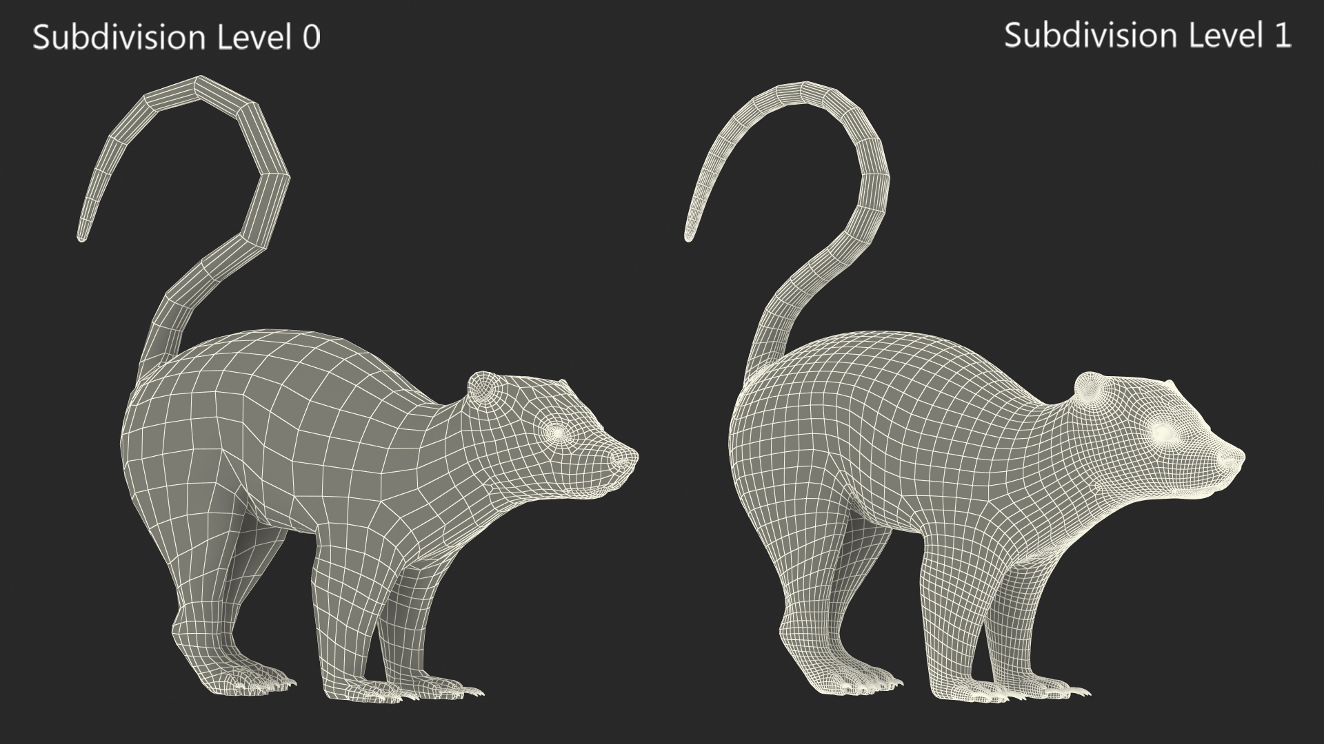 Skunk Wary Fur 3D model