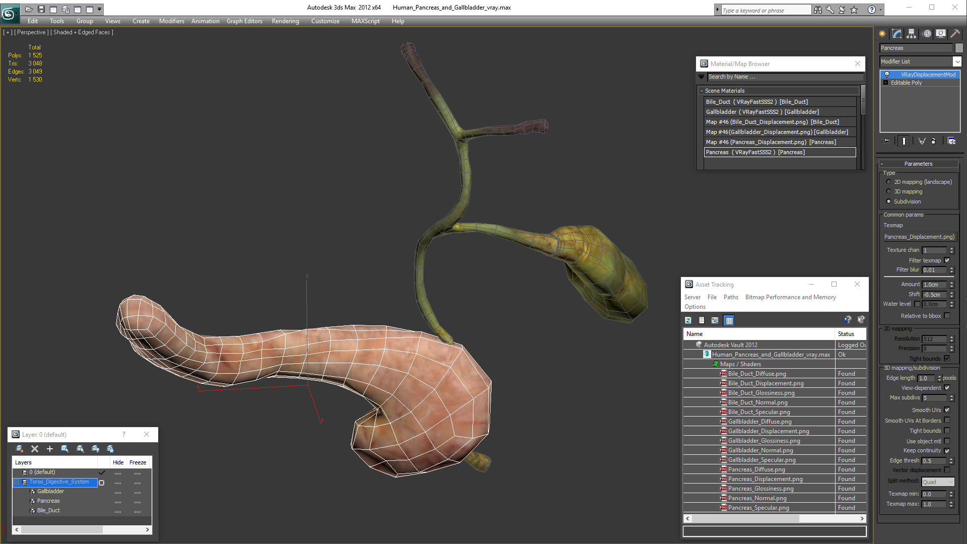 3D model Human Pancreas and Gallbladder
