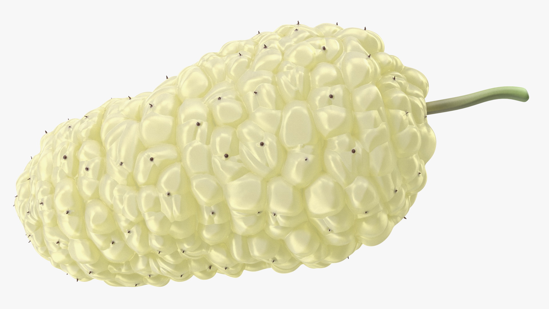 3D model Mulberry Fruit White