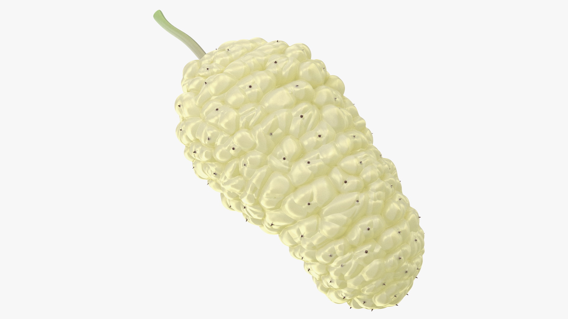 3D model Mulberry Fruit White