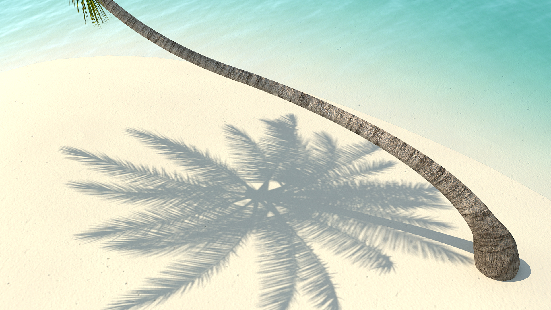 Desert Tropical Island with Palm Tree 3D