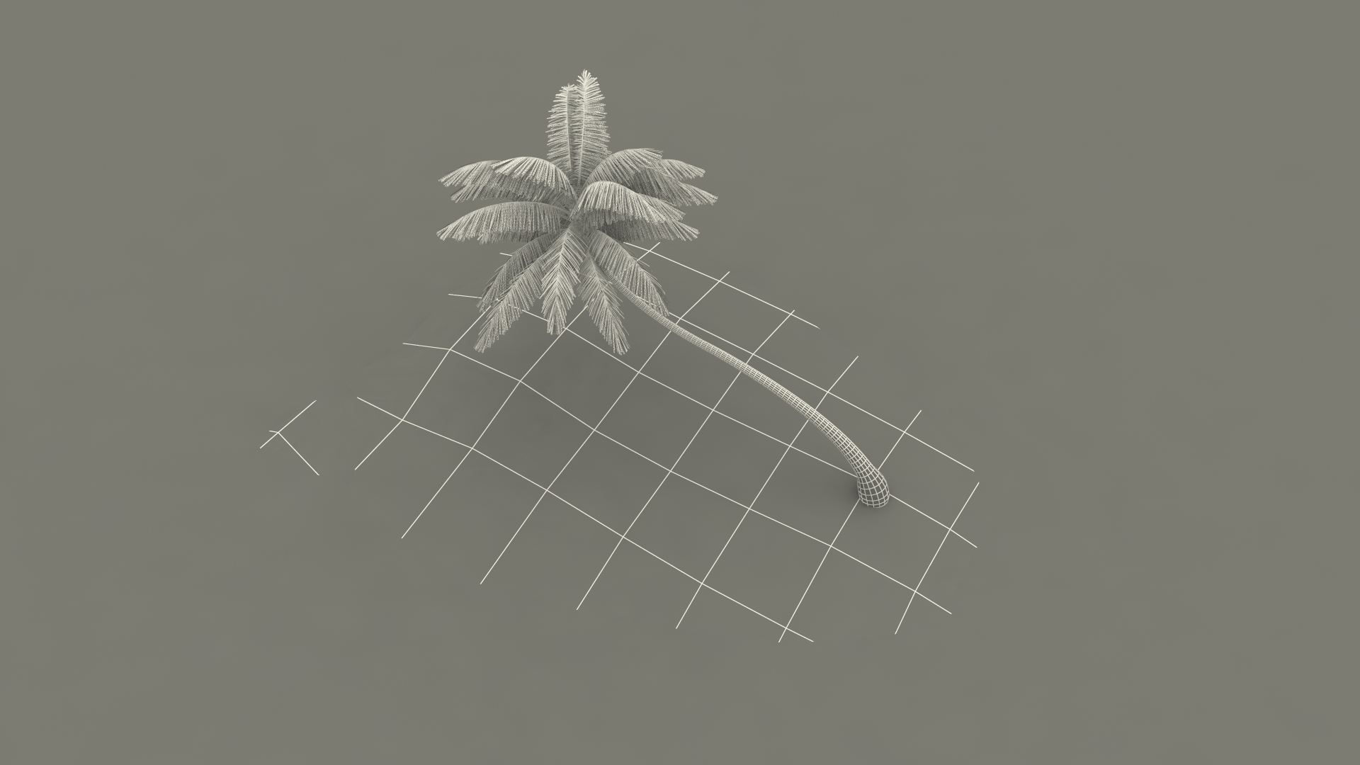 Desert Tropical Island with Palm Tree 3D