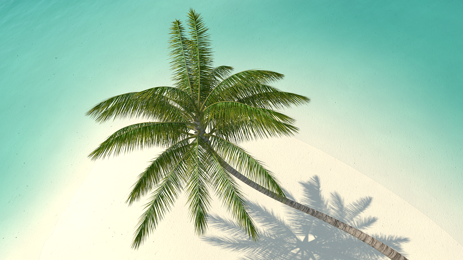 Desert Tropical Island with Palm Tree 3D