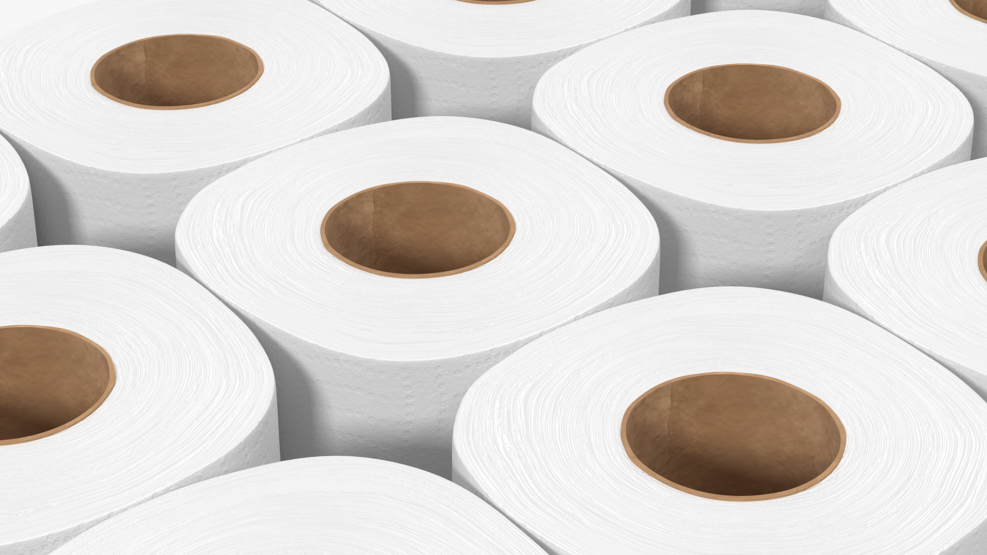 3D model Toilet Paper Roll 36 Pack