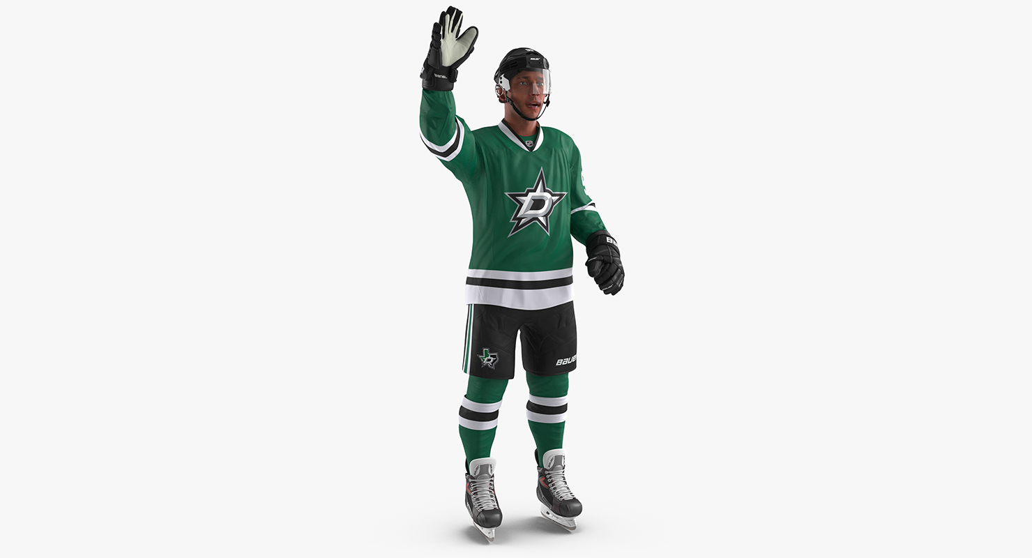 3D Hockey Player Dallas Stars Rigged model