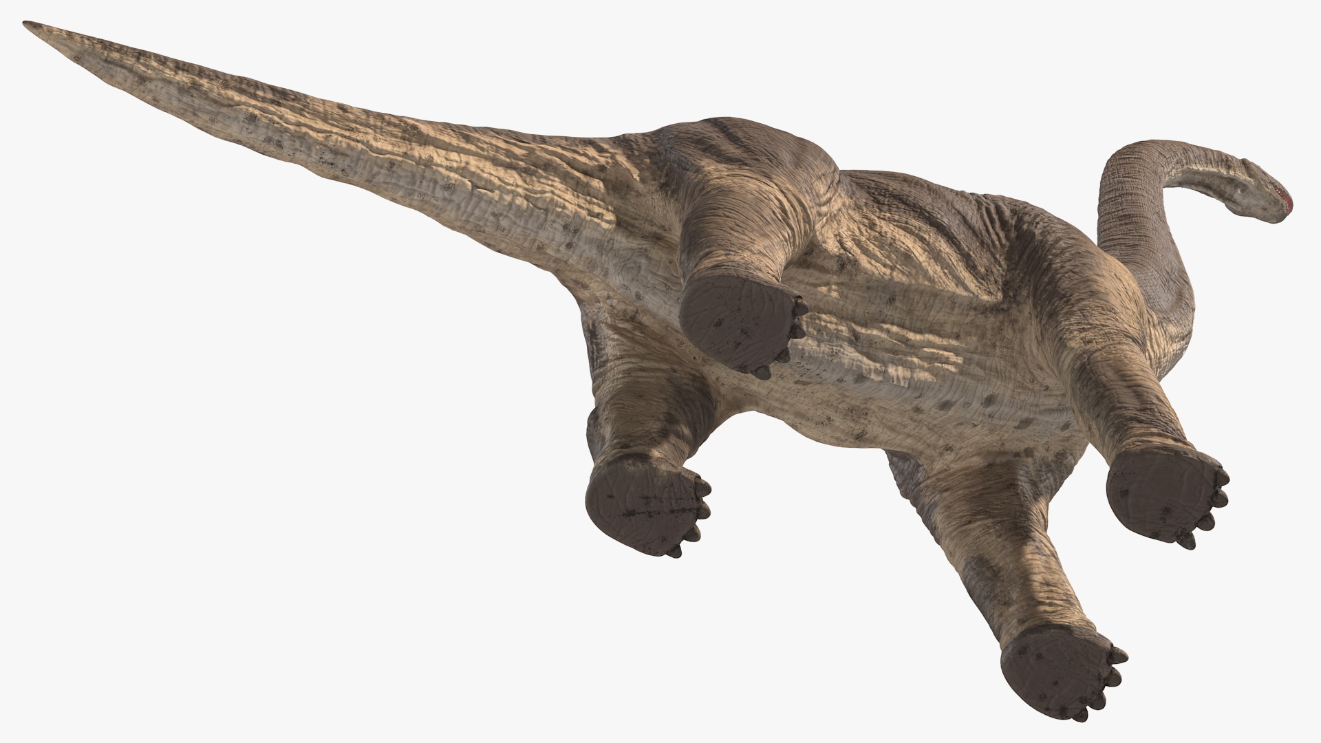 Brachiosaurus Standing Pose 3D