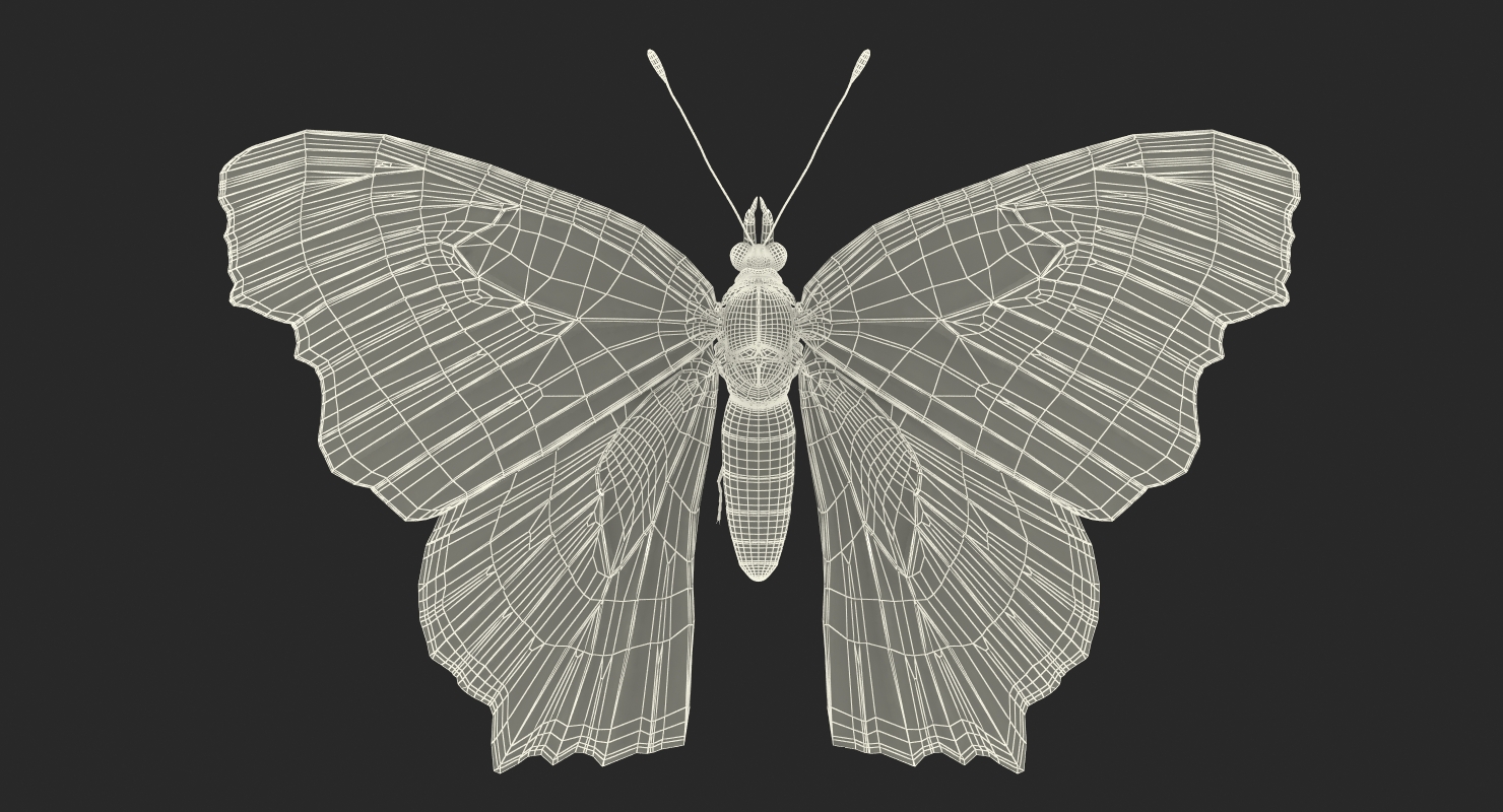 3D European Peacock Butterfly Flying Pose model