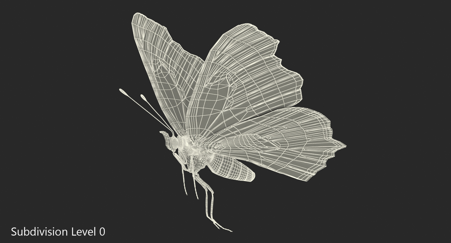 3D European Peacock Butterfly Flying Pose model
