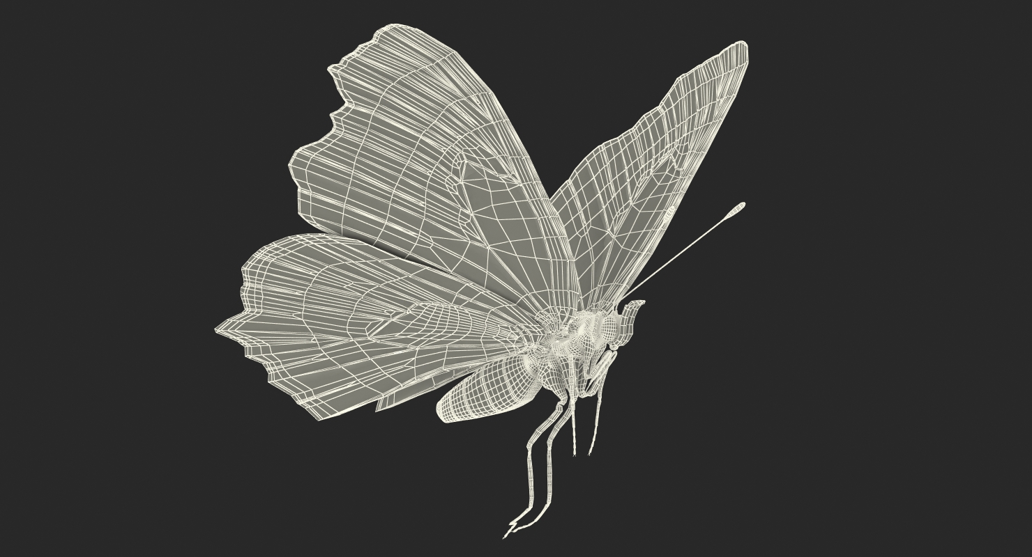 3D European Peacock Butterfly Flying Pose model