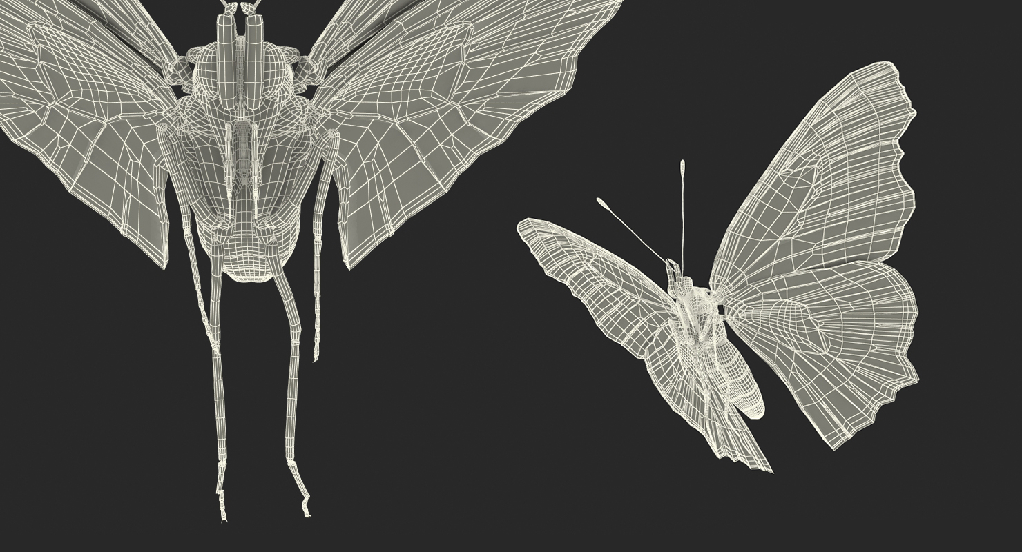 3D European Peacock Butterfly Flying Pose model