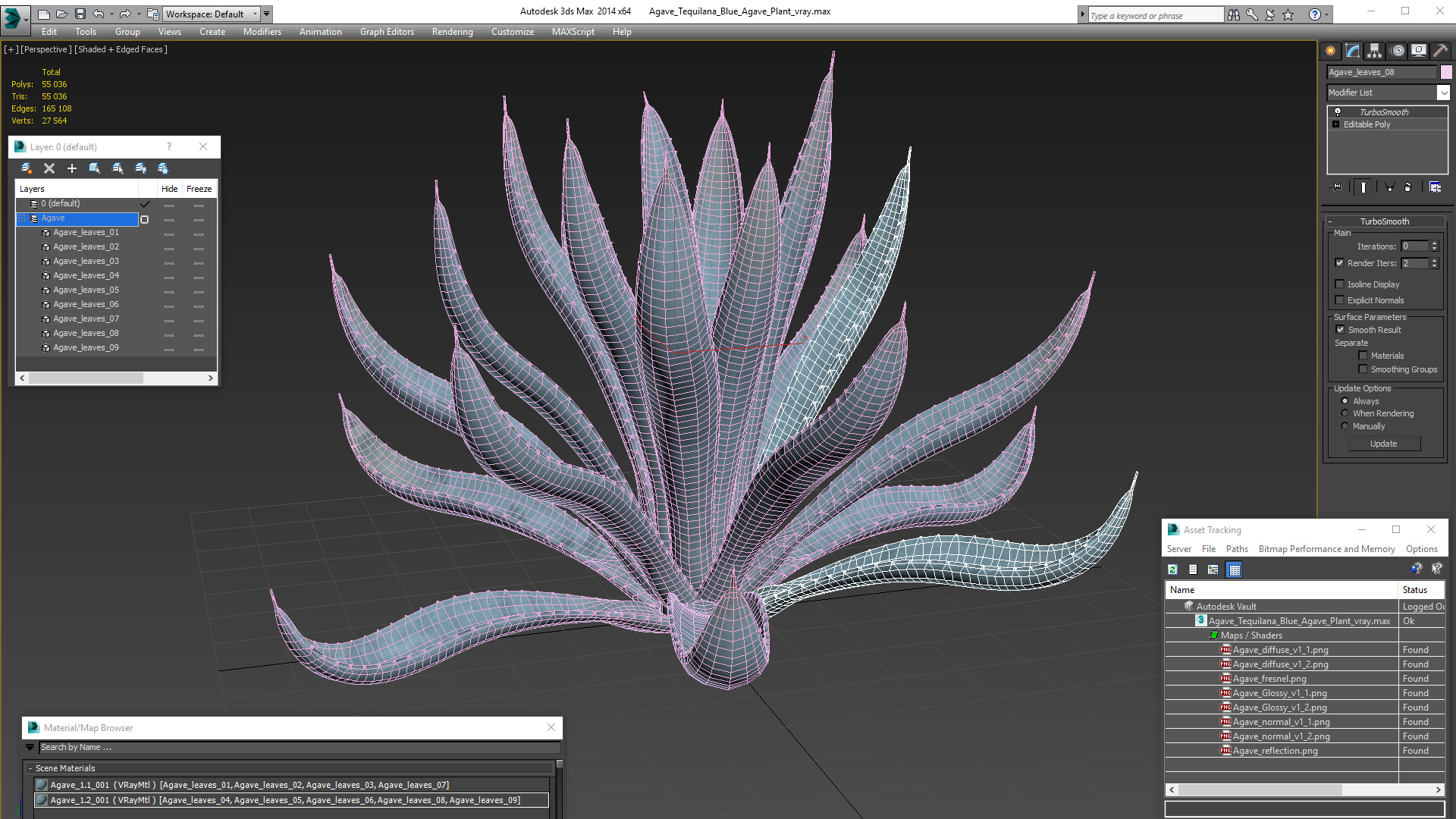 Agave Tequilana Blue Agave Plant 3D