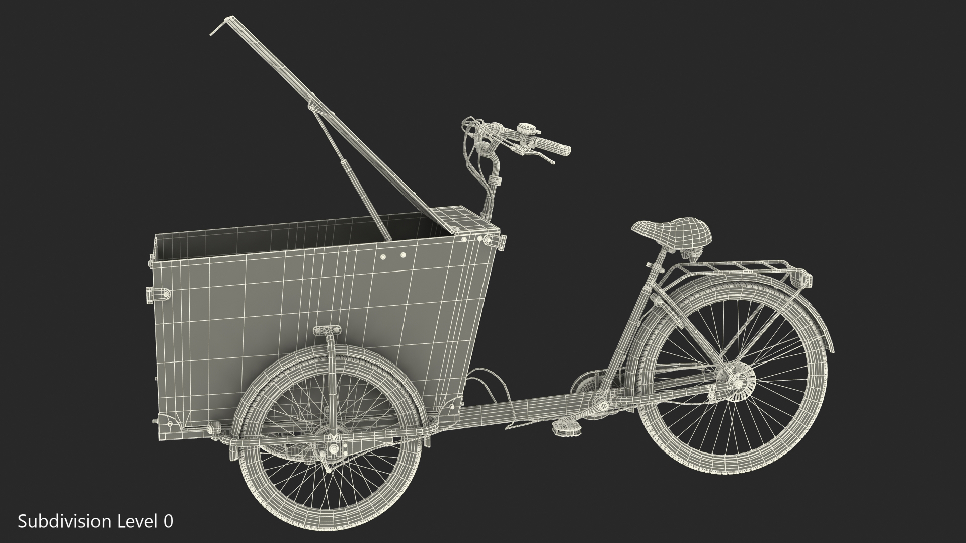 3D model Cargo Bike Generic Rigged