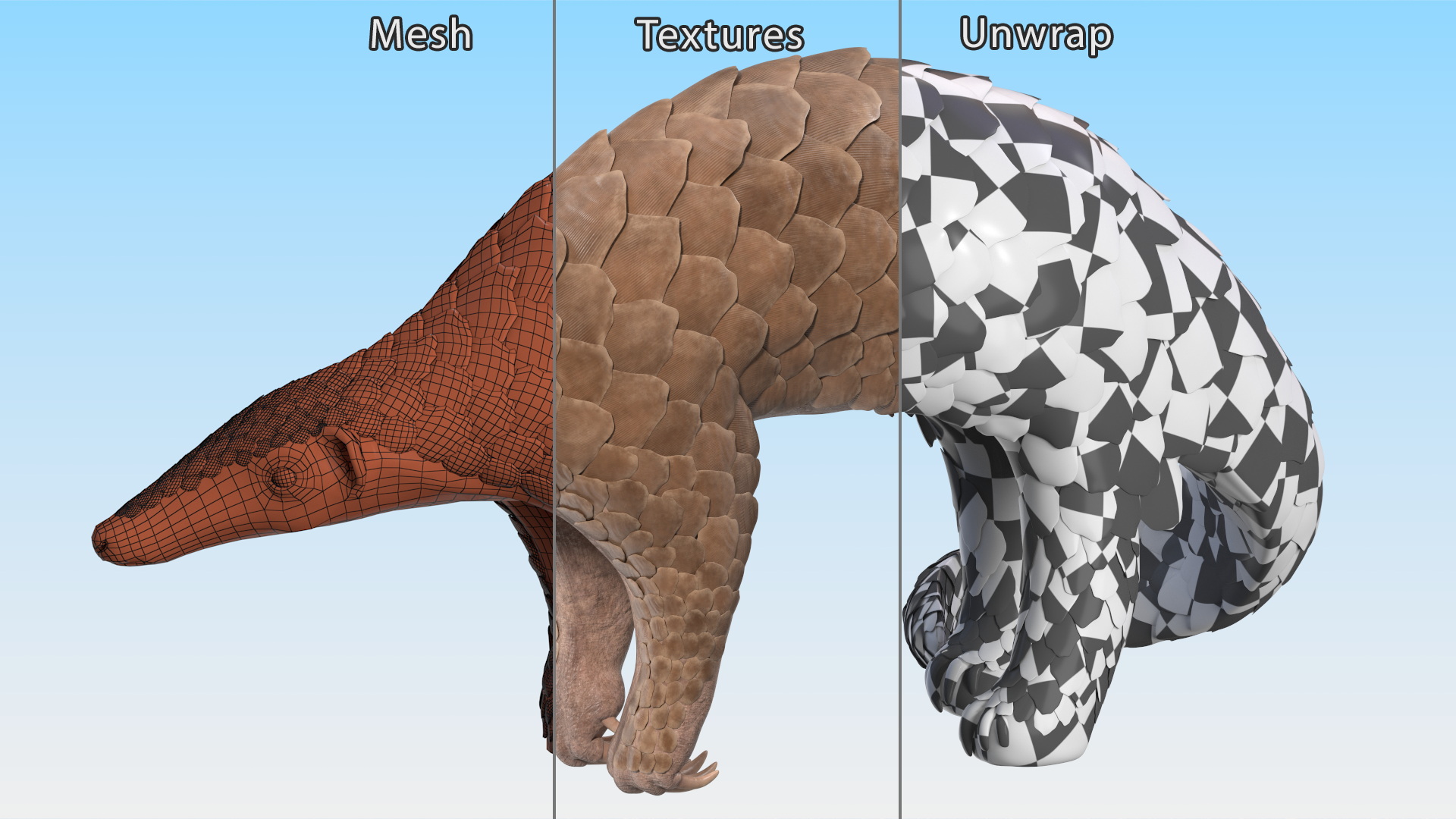 3D Realistic Pangolin model