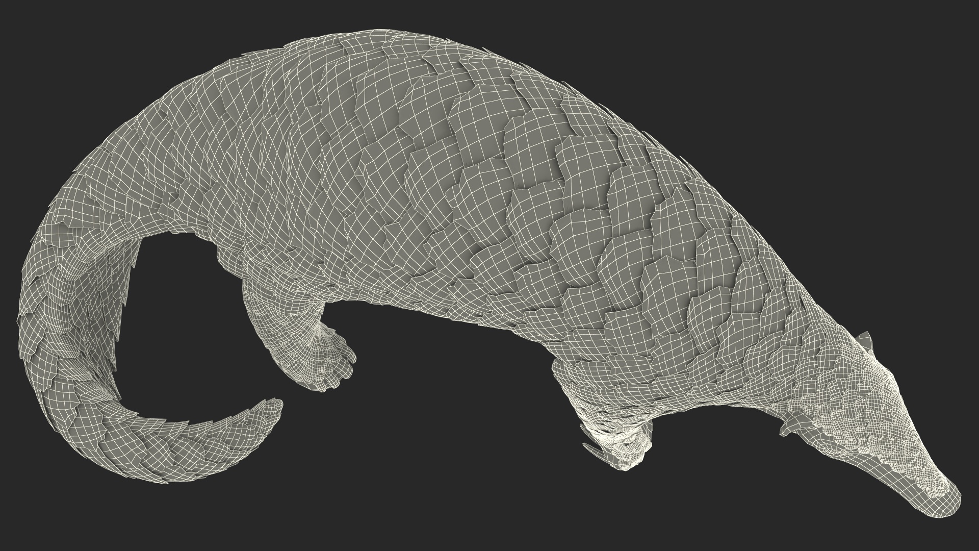 3D Realistic Pangolin model