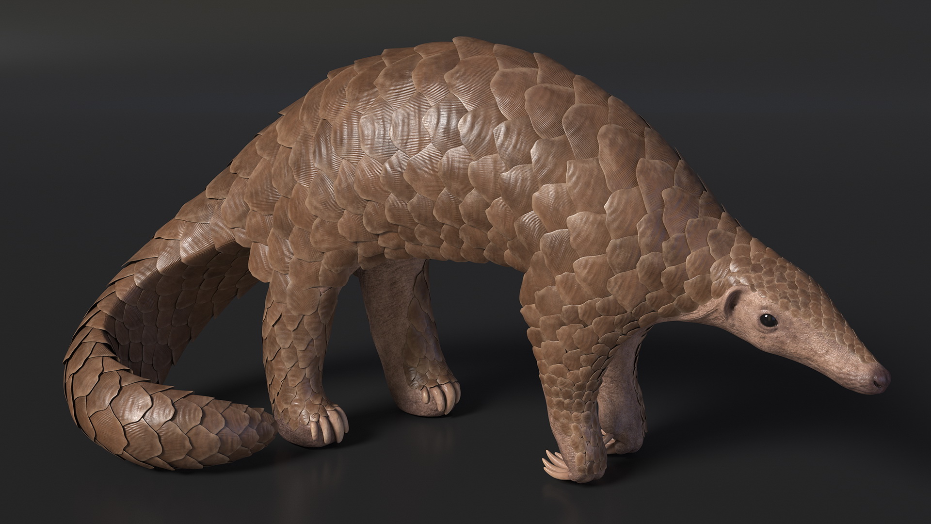 3D Realistic Pangolin model