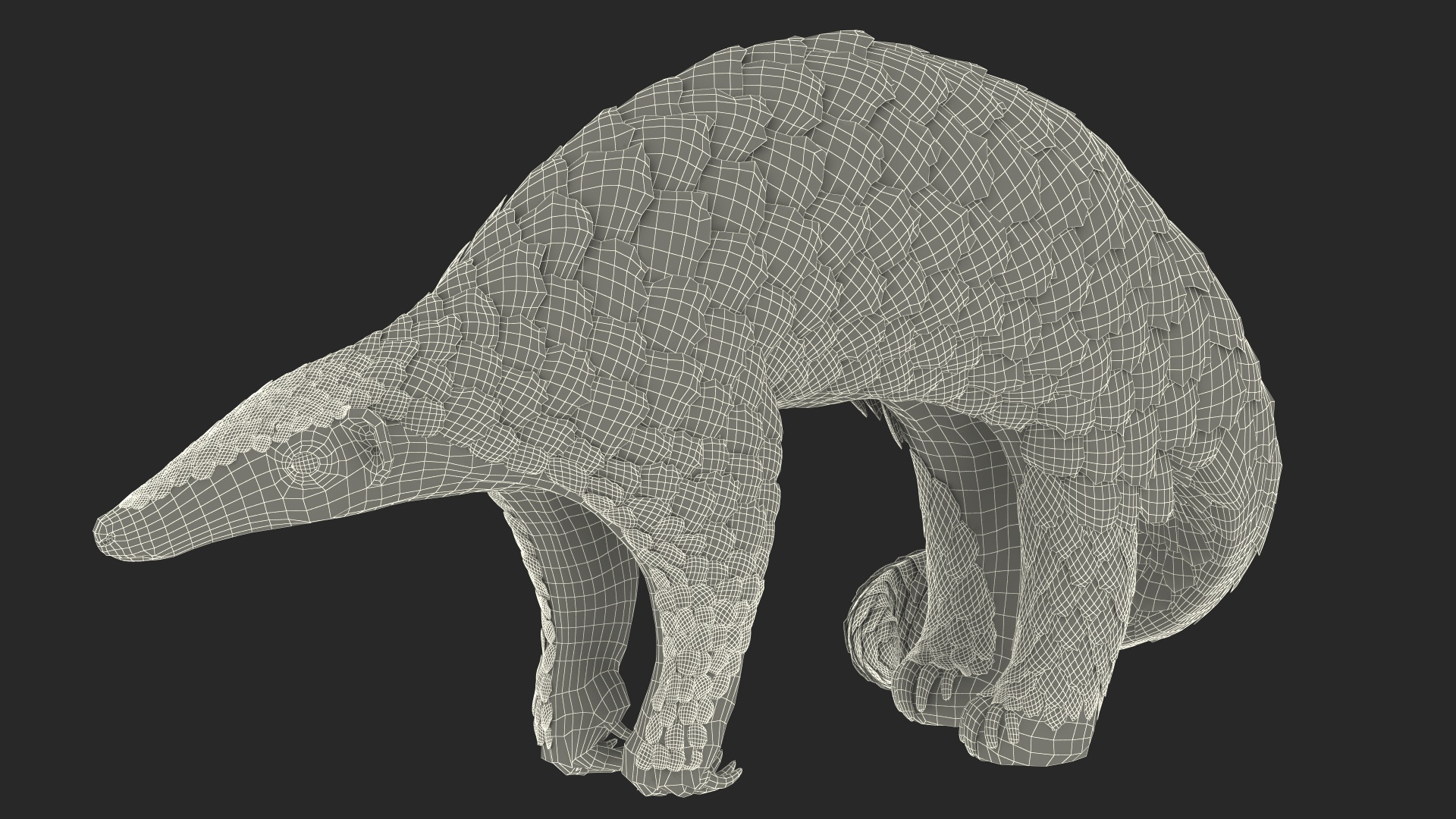 3D Realistic Pangolin model