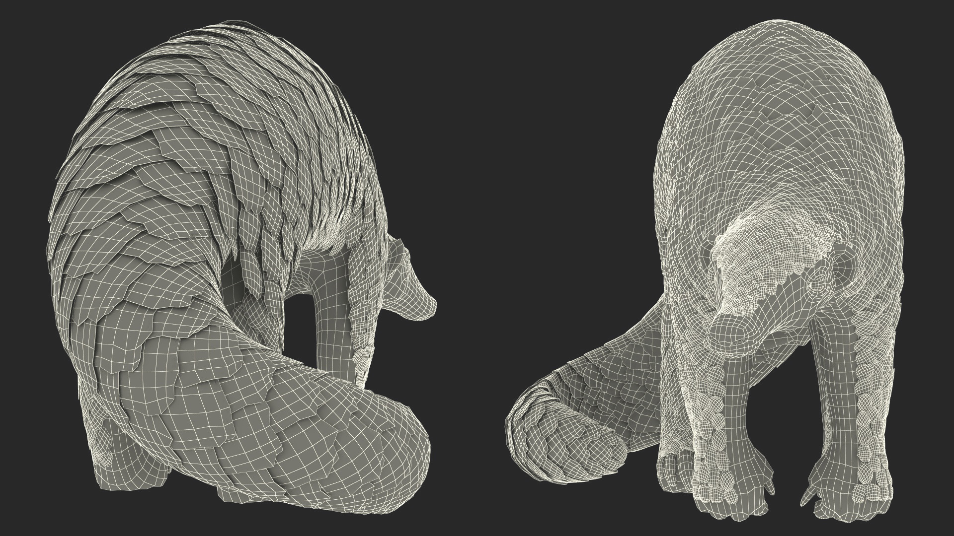 3D Realistic Pangolin model