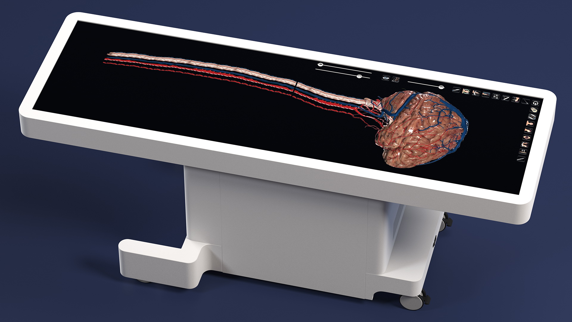 3D Horizontal Interactive Table with Display The Brain Device model