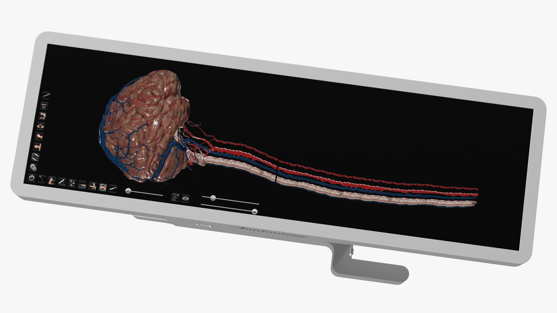 3D Horizontal Interactive Table with Display The Brain Device model