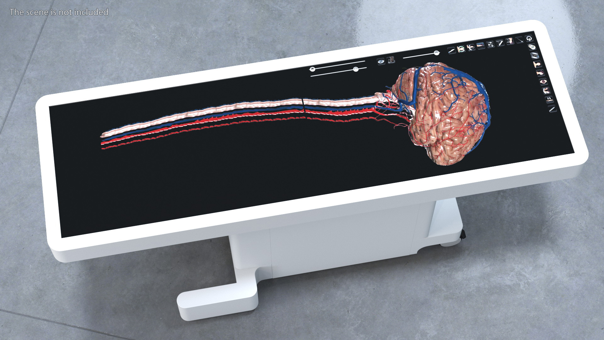 3D Horizontal Interactive Table with Display The Brain Device model