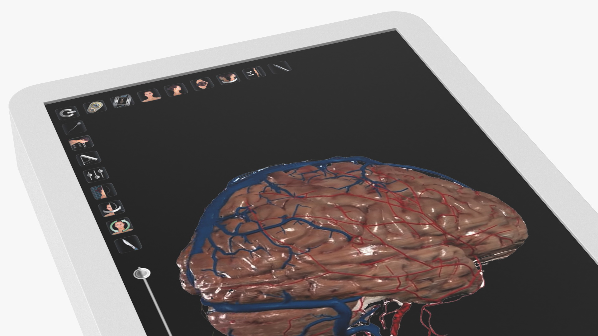 3D Horizontal Interactive Table with Display The Brain Device model