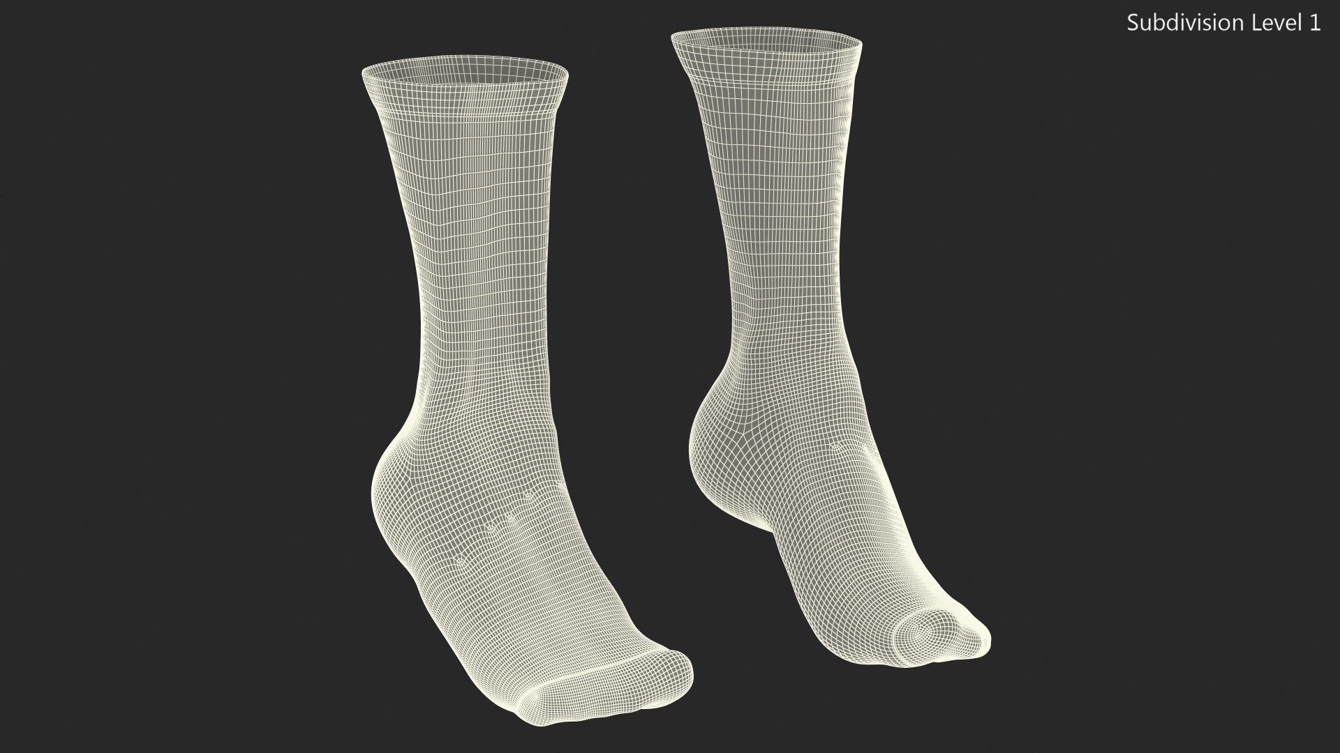 3D Long Socks Grey on The Foot Standing Toes