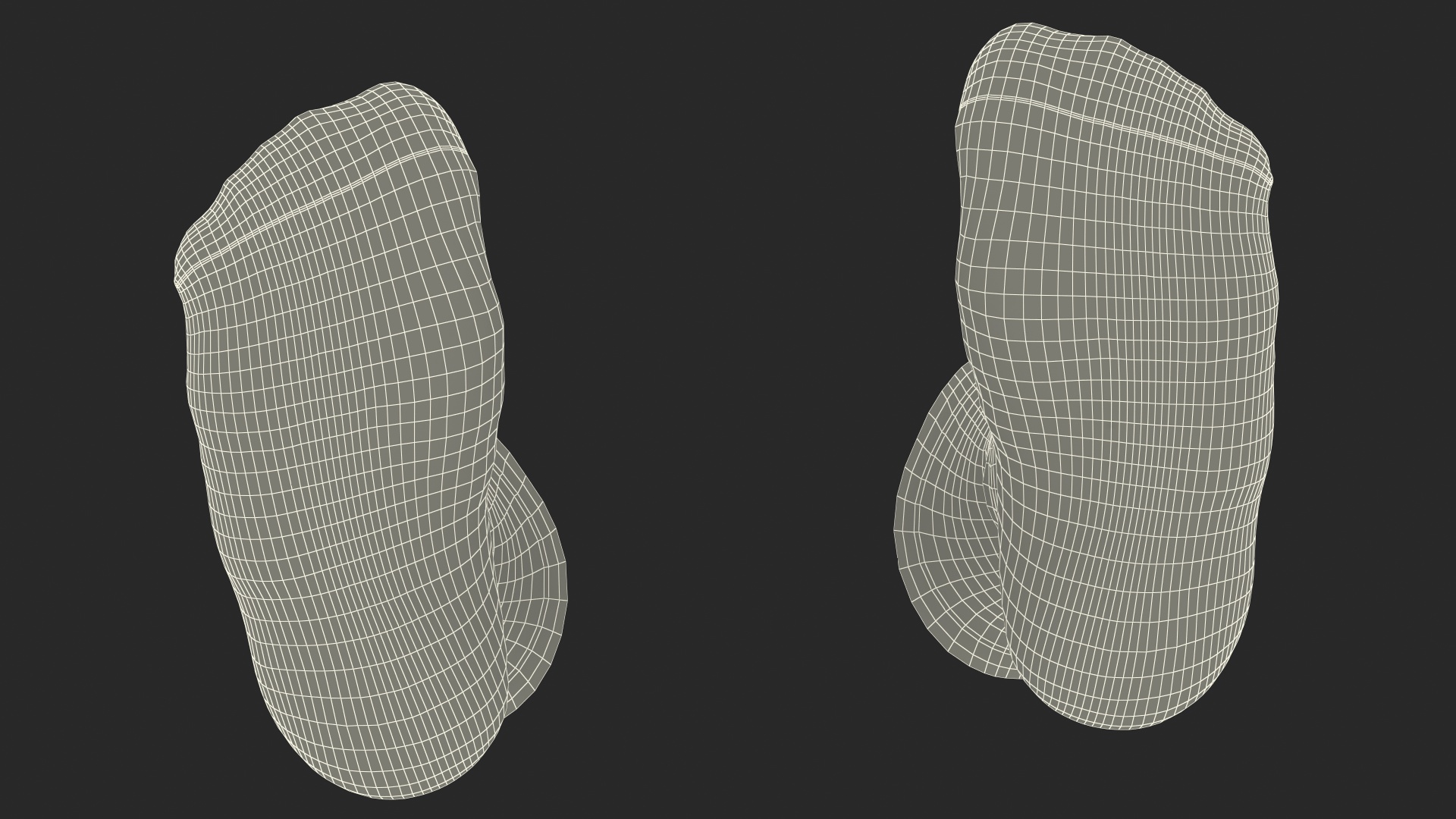 3D Long Socks Grey on The Foot Standing Toes