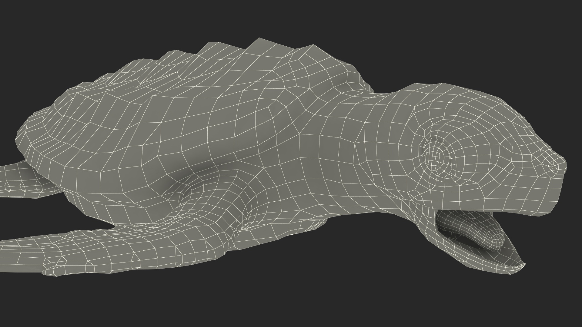 Baby Sea Turtle Brown Rigged for Cinema 4D 3D