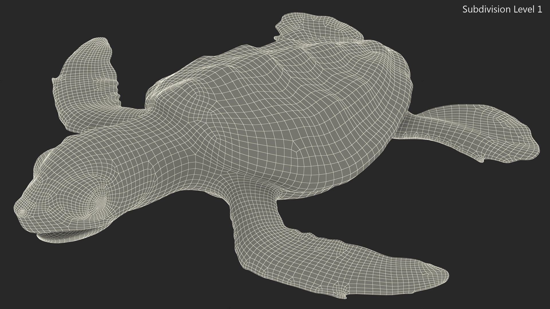 Baby Sea Turtle Brown Rigged for Cinema 4D 3D