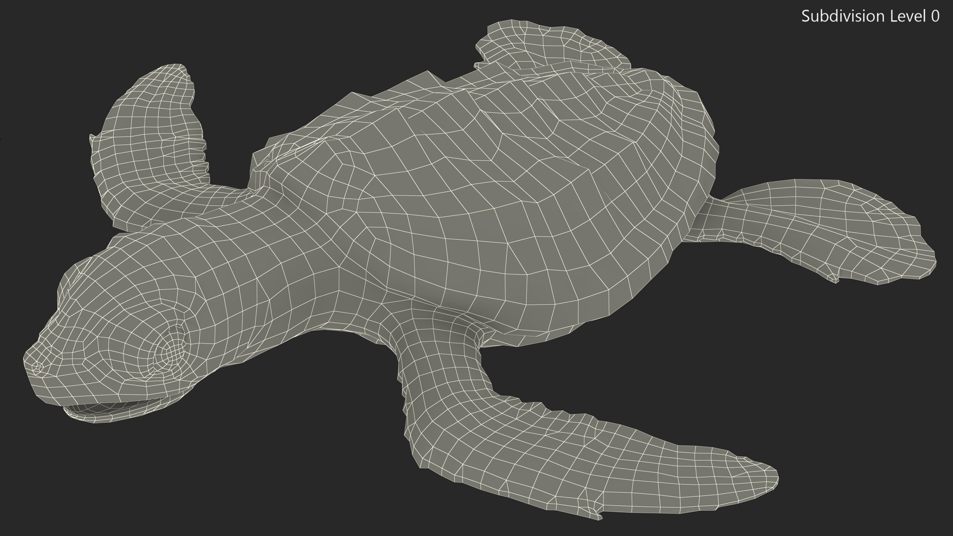 Baby Sea Turtle Brown Rigged for Cinema 4D 3D