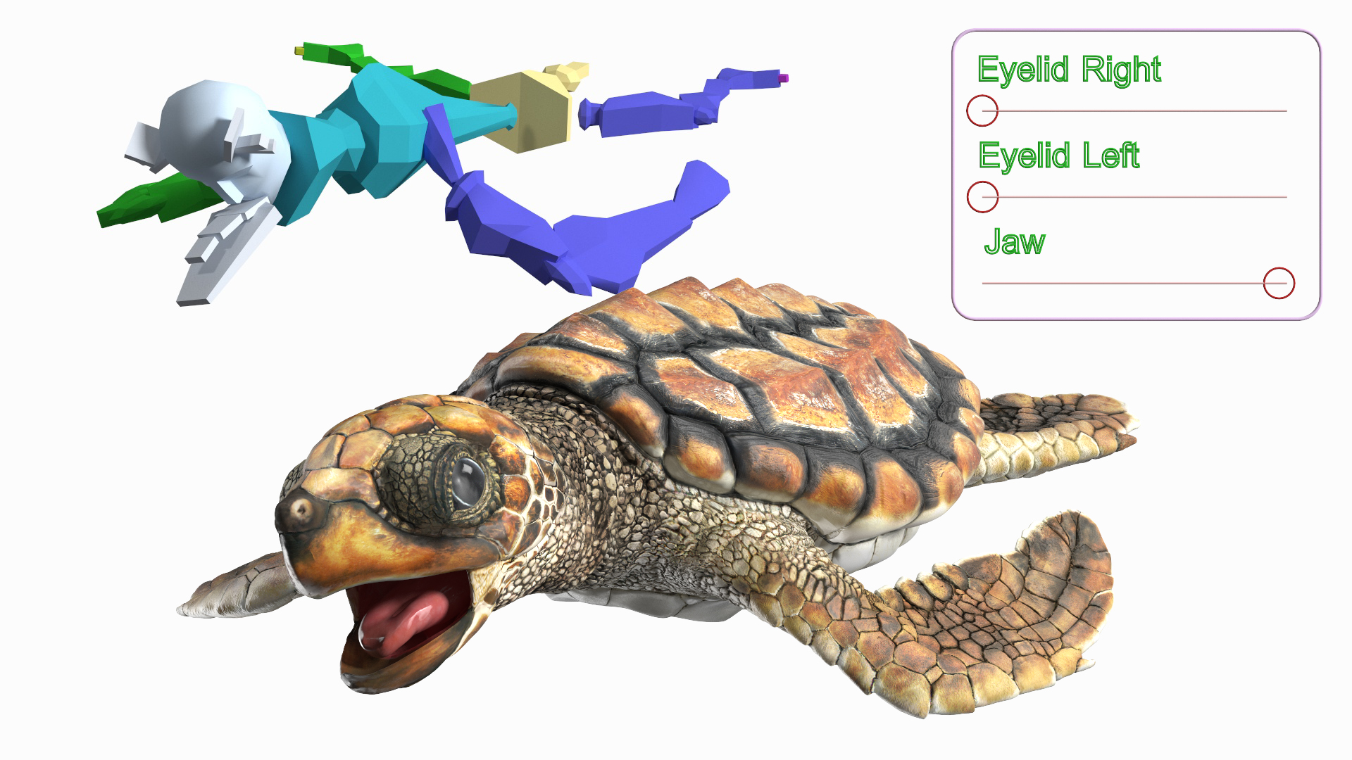 Baby Sea Turtle Brown Rigged for Cinema 4D 3D