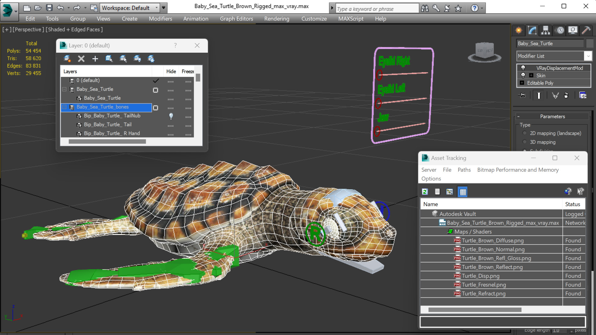 Baby Sea Turtle Brown Rigged for Cinema 4D 3D