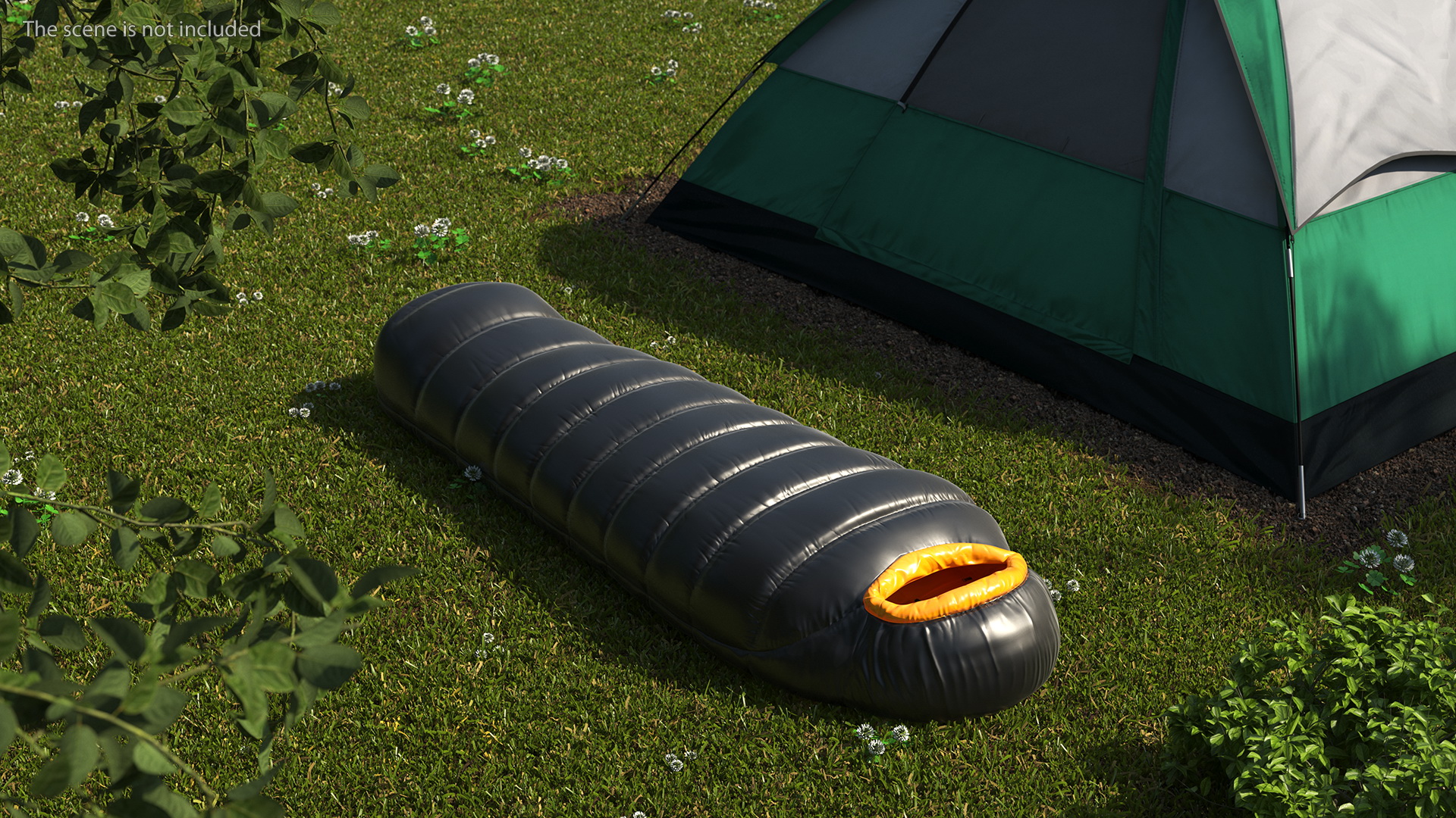 Down Sleeping Bag 3D